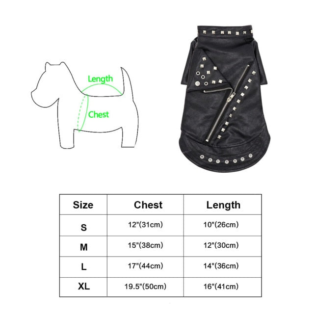 Karnz | Coole niedliche Leder Haustierjacke