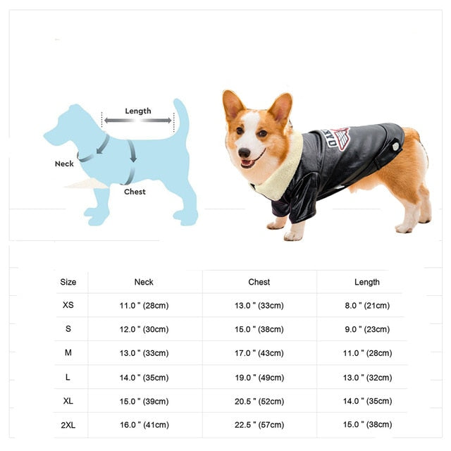 Karnz | Coole niedliche Leder Haustierjacke