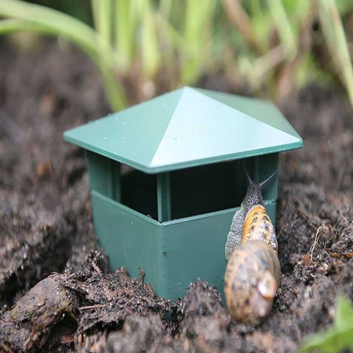 Umweltfreundliche Farm Protector Insektenfalle Box | Karnz