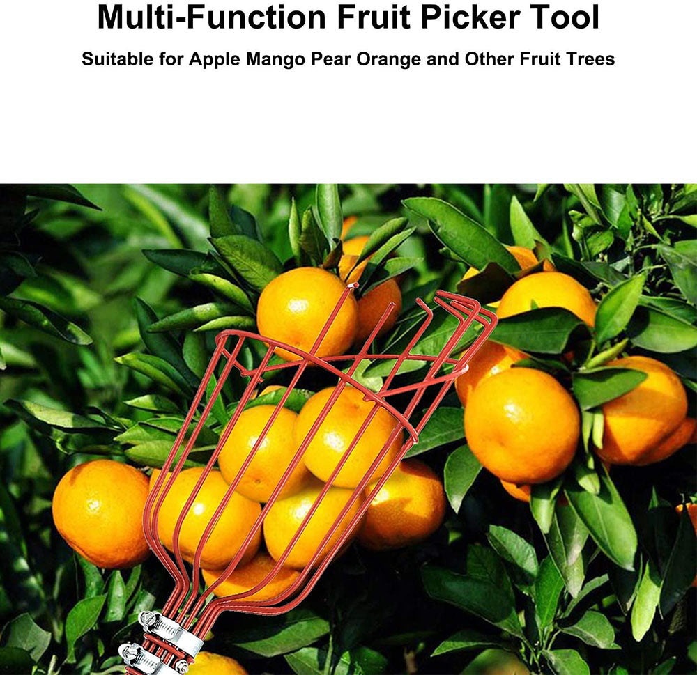 Hochäste Obstpicker | Karnz