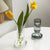 Glas gestreifter Zylinder-Vase | Karnz