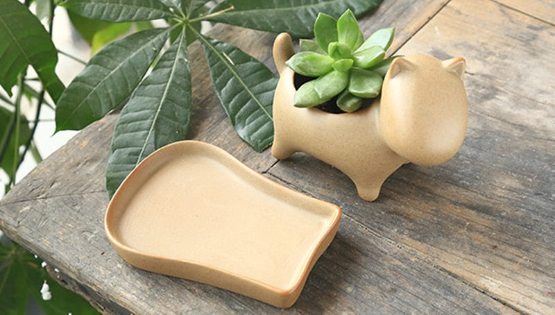 Elephant Minimalistische Keramik Blumentopf