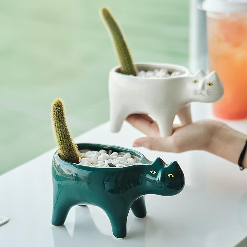 Kat Pot | Karnz