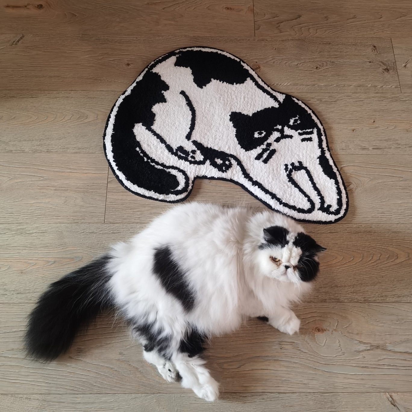 Schwarz & Weiß Katzenteppich | Karnz