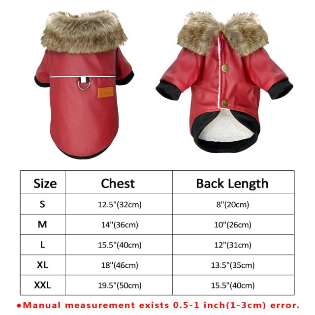 Karnz | Coole niedliche Leder Haustierjacke