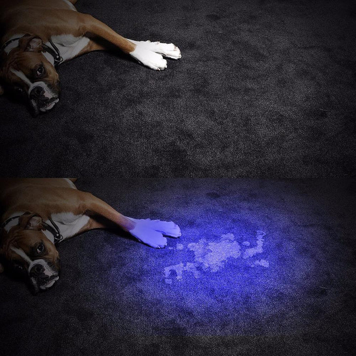 HiLight - LED UV Erkennungs-Taschenlampe | Karnz