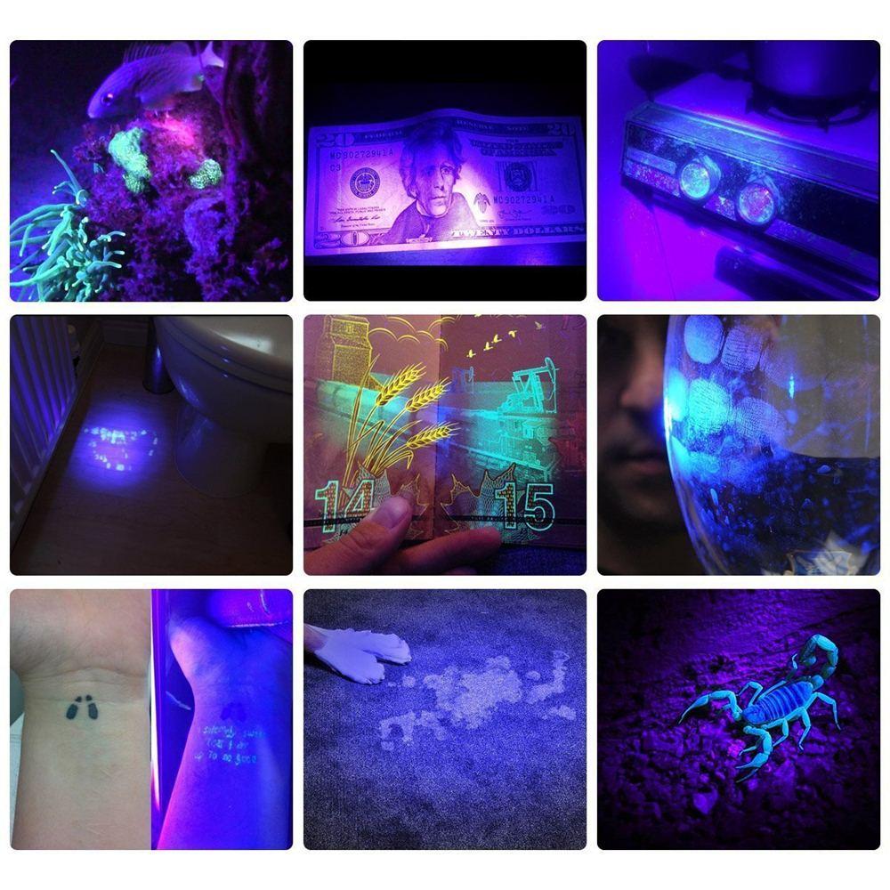 HiLight - LED UV Erkennungs-Taschenlampe | Karnz