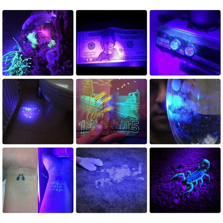HiLight - LED UV Erkennungs-Taschenlampe | Karnz