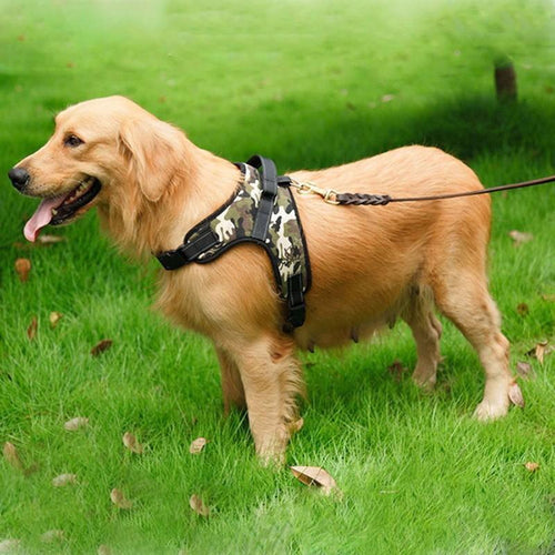 Verstellbares Haustier Hundegeschirr | Karnz