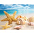 Seashells By The Shore - GemPaint Kit | Karnz