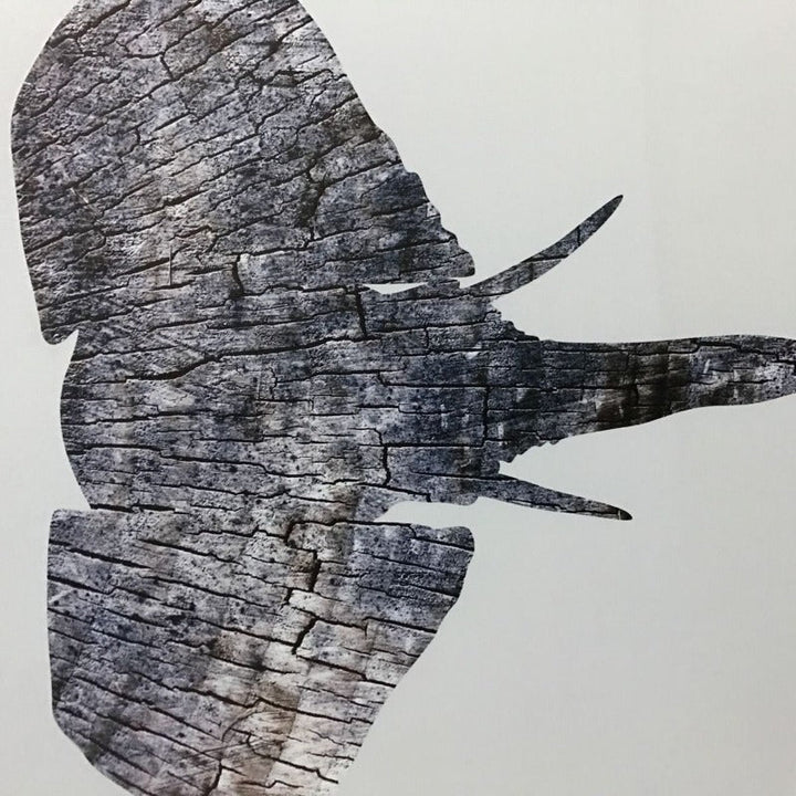 Moods Of Elephants - Leinwand Wandkunst Gemälde
