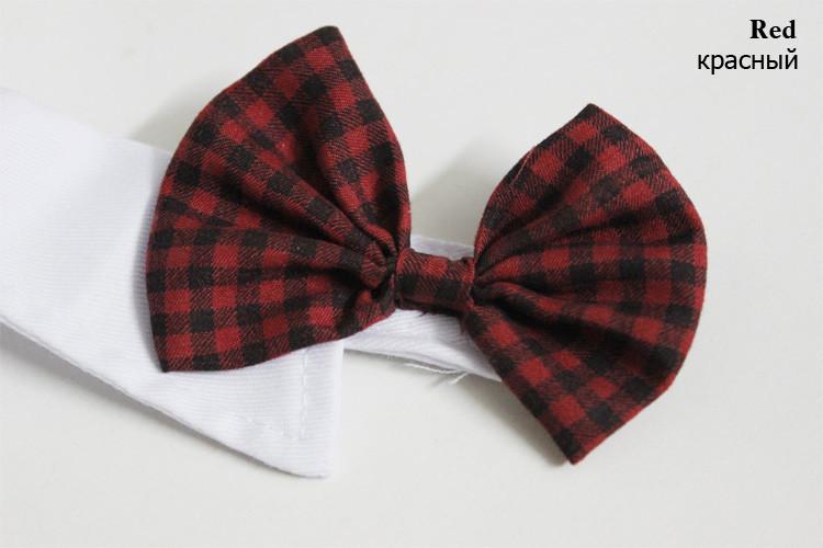 Dapper Pet Fliegen - Für Katzen & Hunde | Karnz