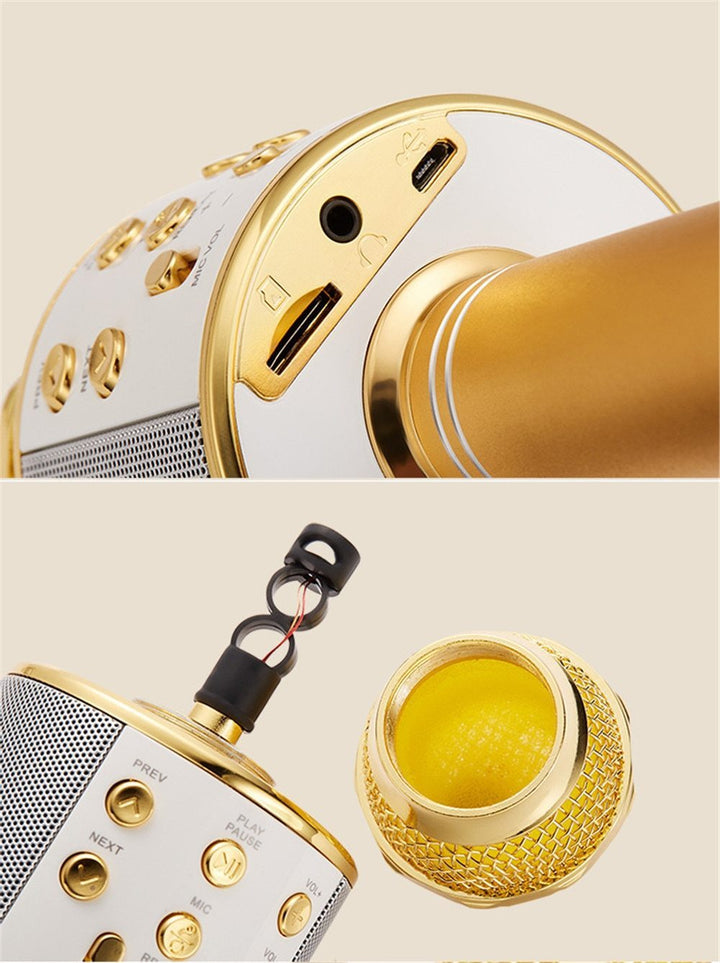 Karnz | Kabelloses Magic Karaoke Mikrofon – Bluetooth Karaoke Mikrofon