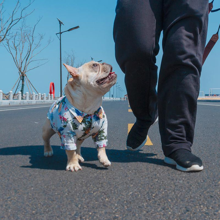 Frenchie Sommerhemd | Karnz