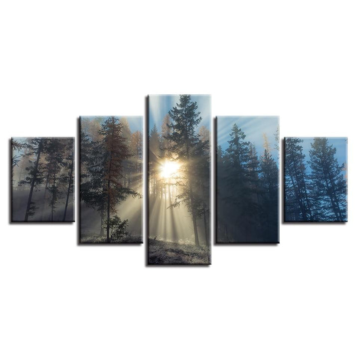 Das Licht des Waldes – Leinwandbild