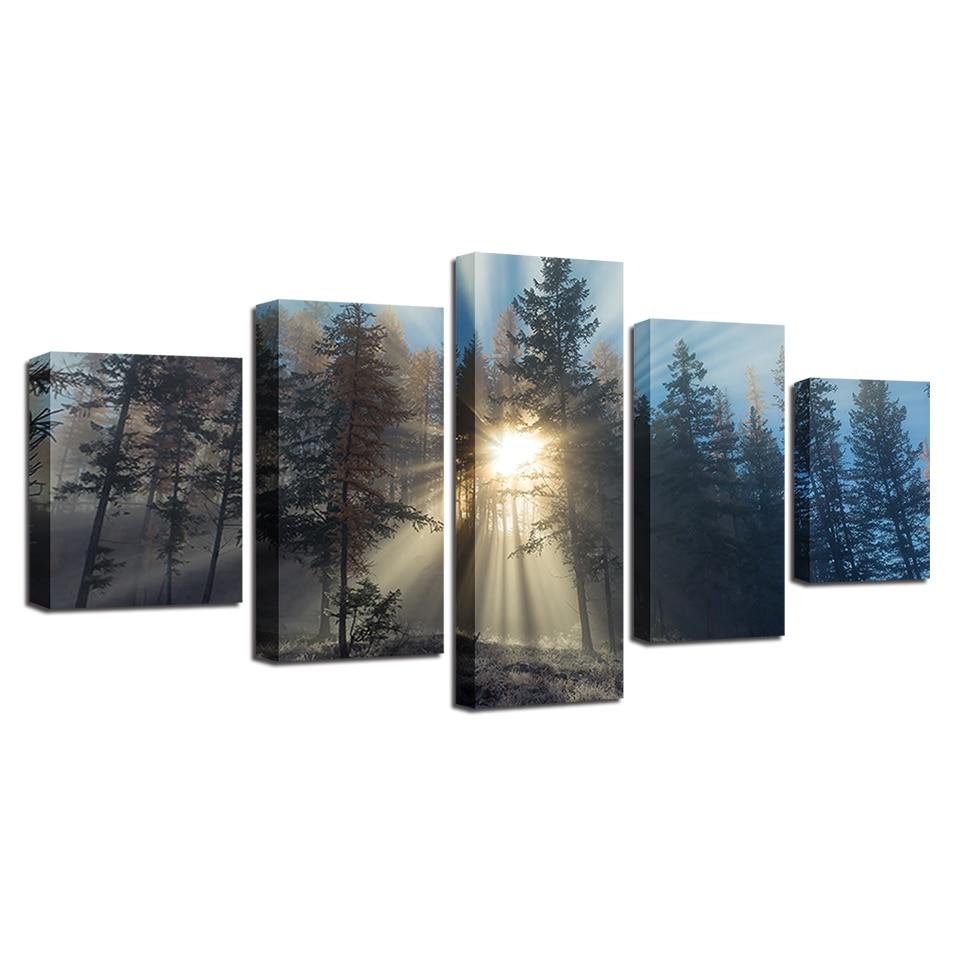 Das Licht des Waldes – Leinwandbild