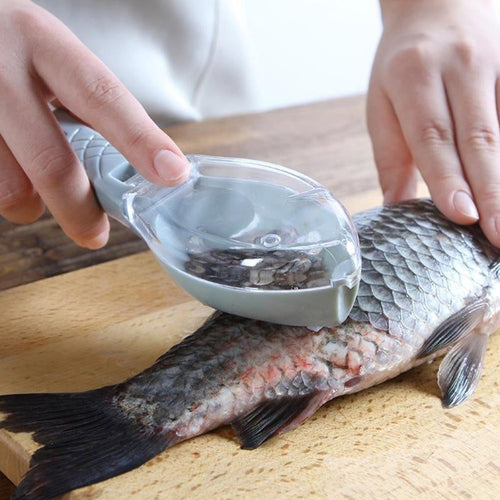 Fischschuppenreibe | Karnz