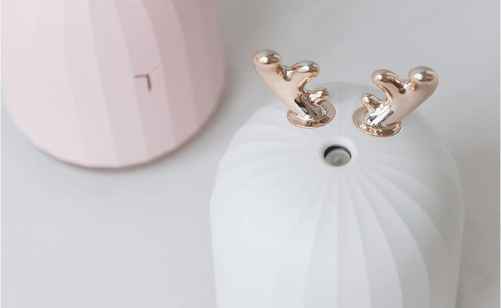 Aroma Ätherischer Öl Diffusor | Karnz