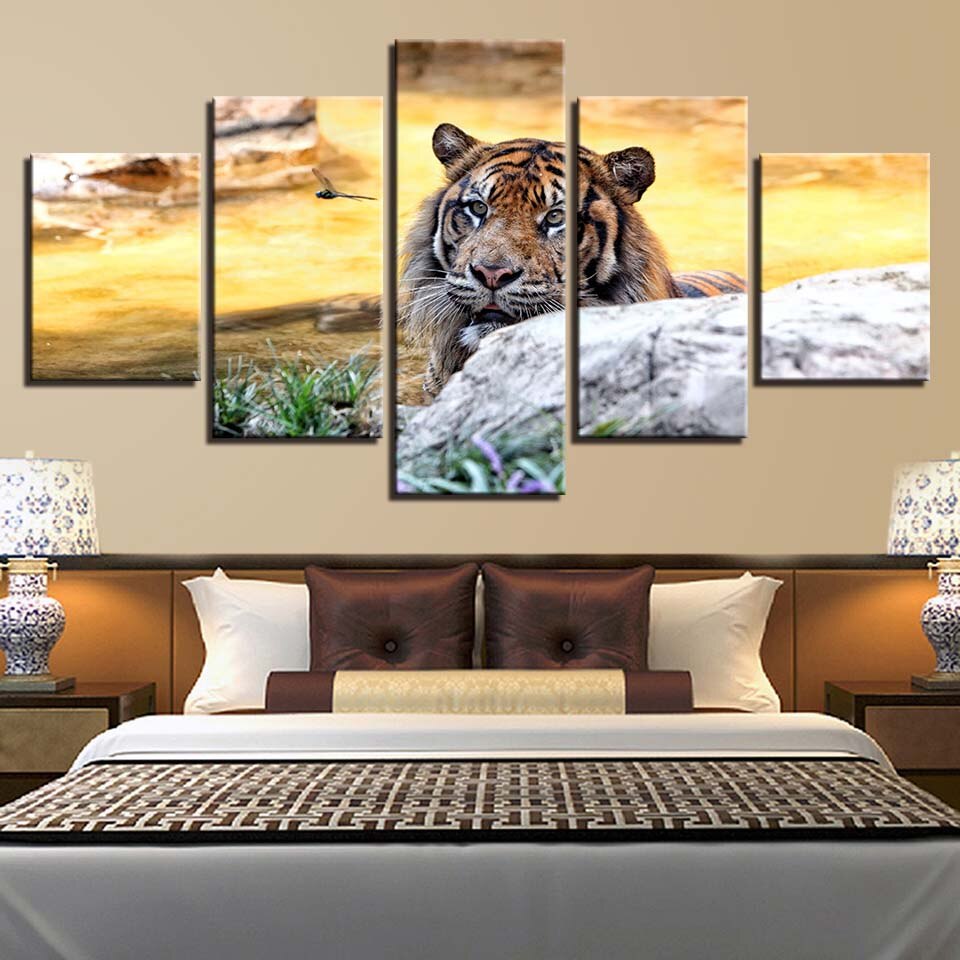 Sonnenuntergang, Tiger – Leinwandbild