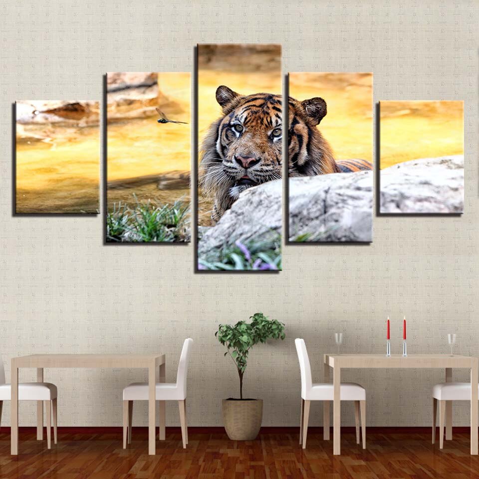 Sonnenuntergang, Tiger – Leinwandbild