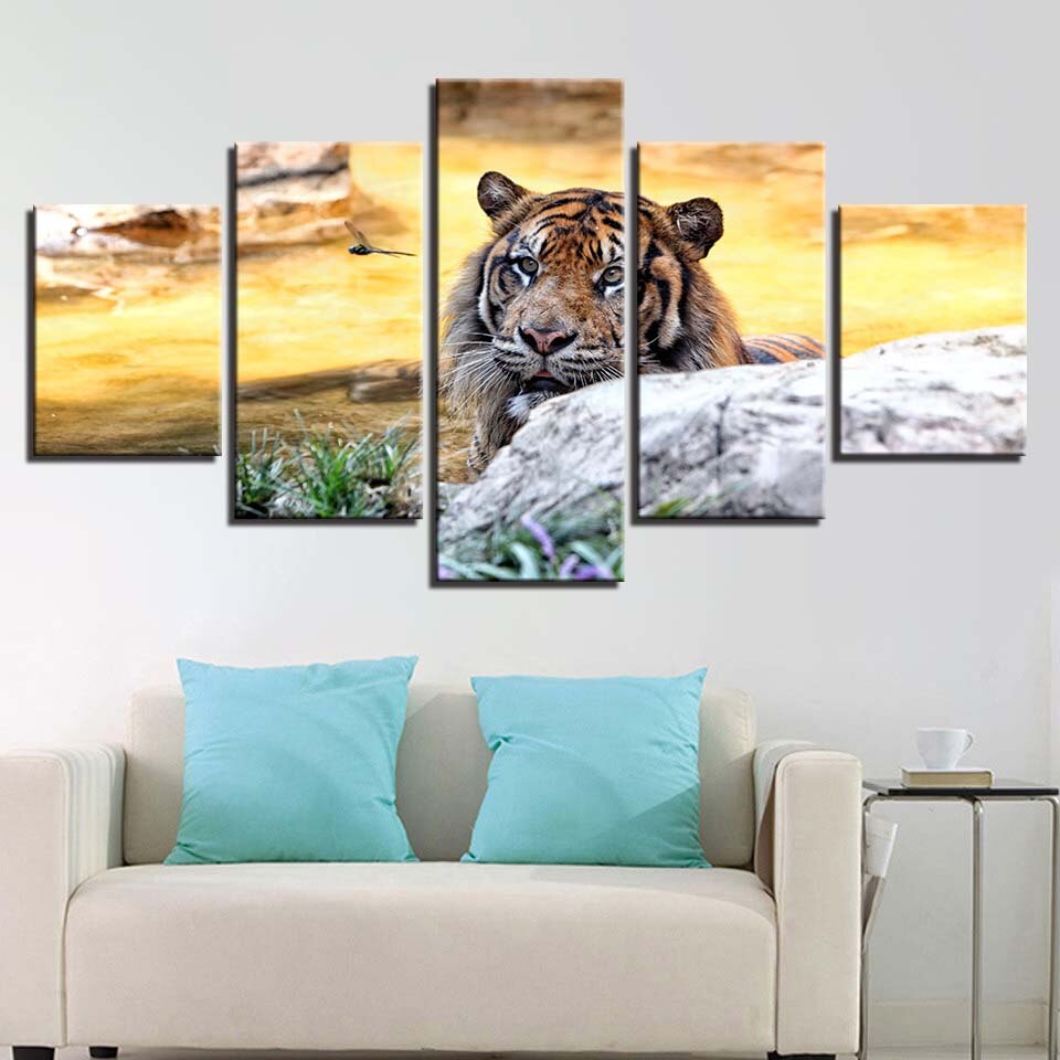 Sonnenuntergang, Tiger – Leinwandbild