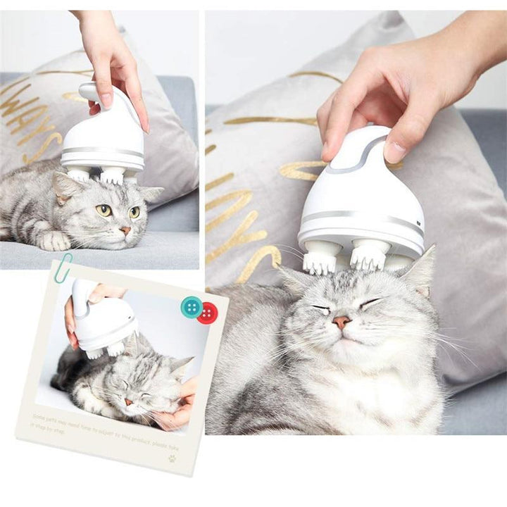 Elektrischer Katzenmassager | Karnz