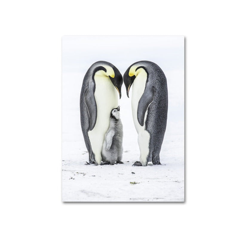 Herzliche Pinguinfamilie – Leinwandbild