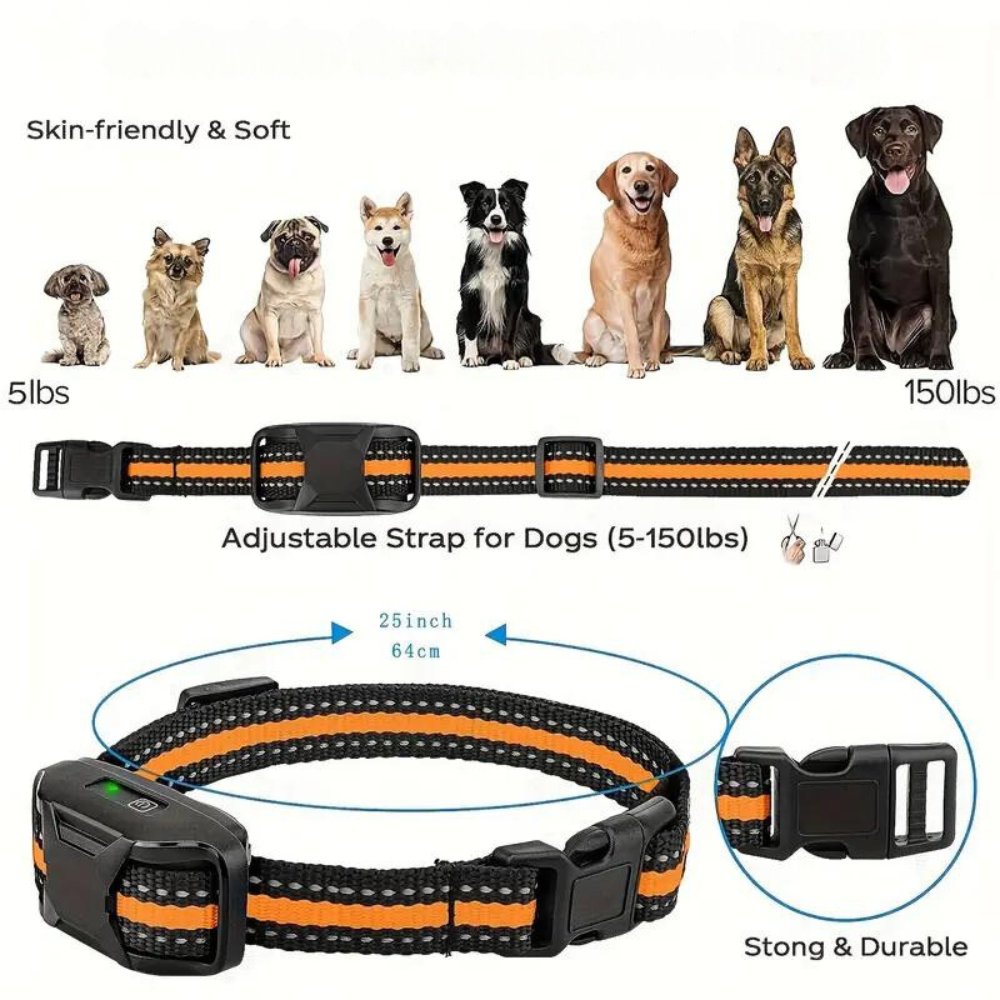 ProTrain • Hunde Trainingshalsband