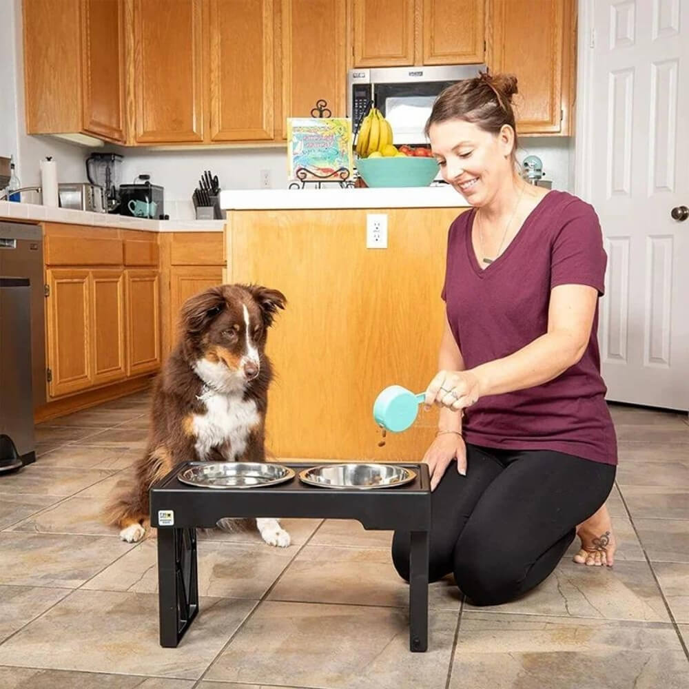 PupLift Erhöhter Fressnapf für Hunde – Ergonomisch & langsames Fressen für gesunde Mahlzeiten | Karnz