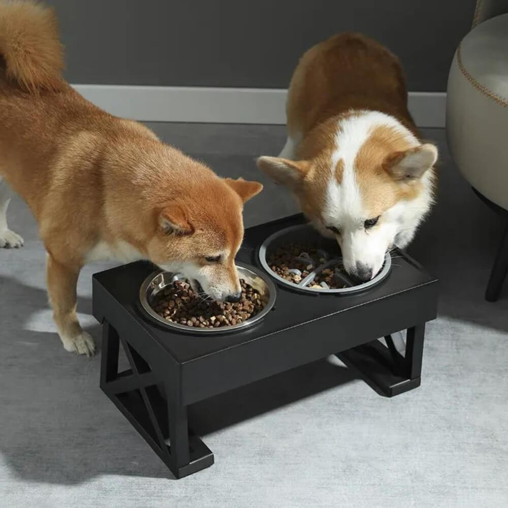 PupLift Erhöhter Fressnapf für Hunde – Ergonomisch & langsames Fressen für gesunde Mahlzeiten | Karnz