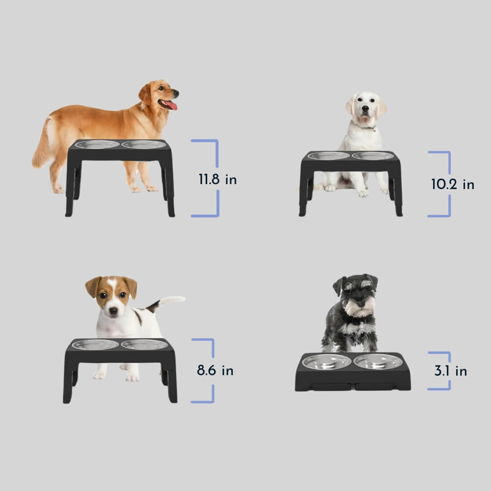 PupLift Erhöhter Hundenapf – Ergonomisch & Langsame Fütterung für Gesunde Mahlzeiten | Karnz