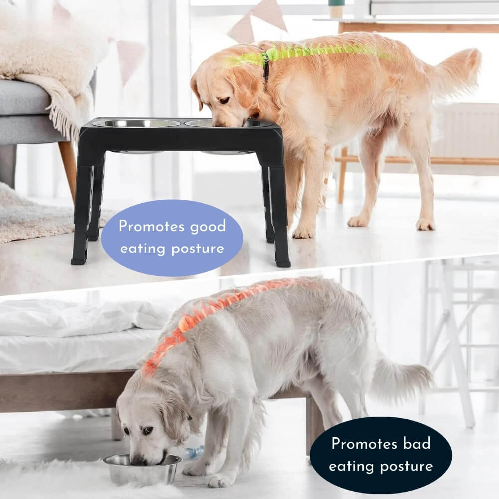 PupLift Erhöhter Hundenapf – Ergonomisch & Langsame Fütterung für Gesunde Mahlzeiten | Karnz