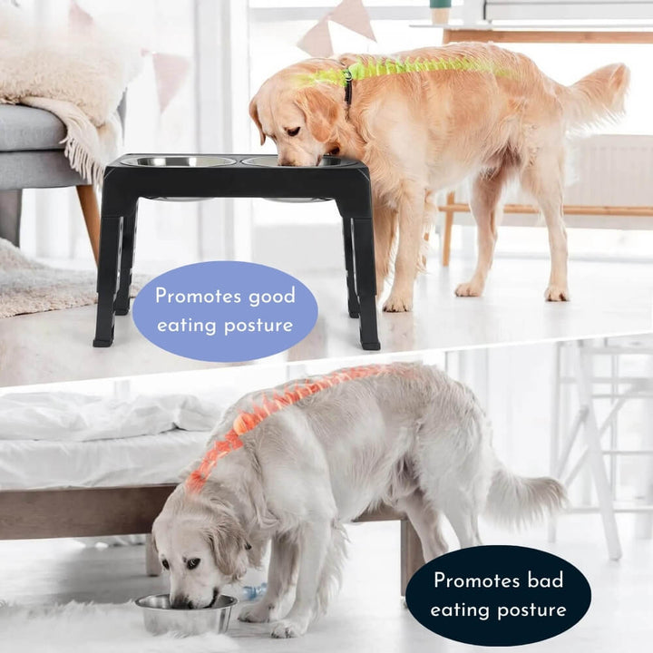 PupLift Erhöhter Hundenapf – Ergonomisch & Langsame Fütterung für Gesunde Mahlzeiten | Karnz