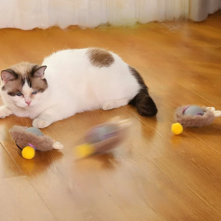 Interaktives Plüschspielzeugball für Katzen | Karnz