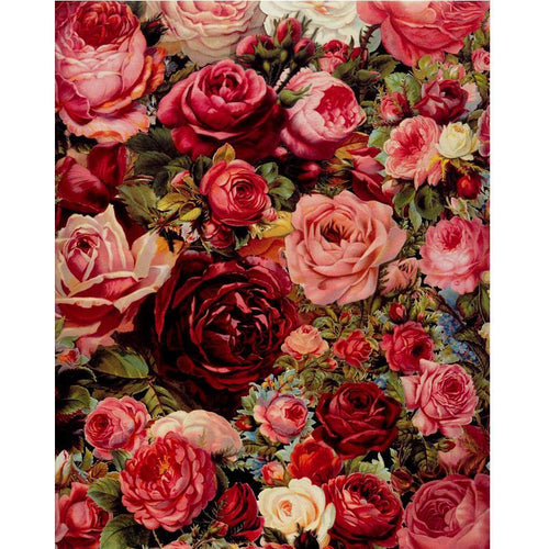 Rose Universe - Van-Go Malen-nach-Zahlen Set | Karnz