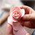DIY Zuckerrosen-Kits | Karnz