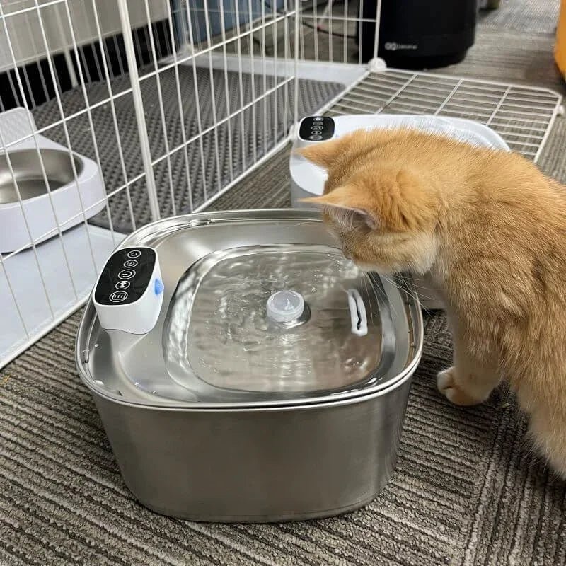 Smart Drinking Fountain für Katzen und Hunde – 3,2L Edelstahl mit Filter | Karnz