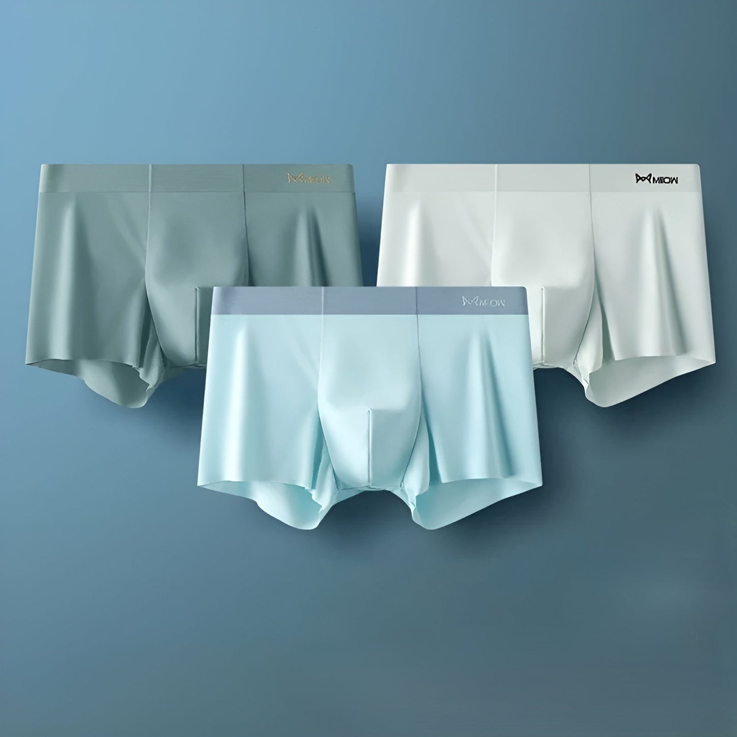 Nahtlose Herren-Boxershorts - Leo