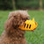 SecureGuard • Verstellbarer Hundemaske