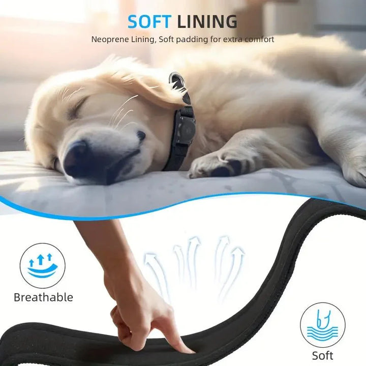 SecureTrack • AirTag Hundehalsband