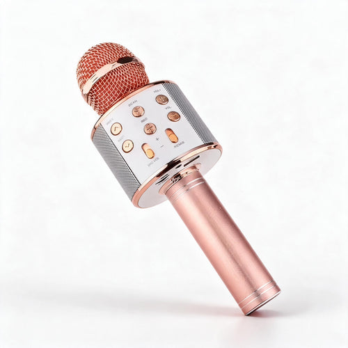 Karnz Kabelloses Karaoke-Mikrofon mit Bluetooth-Lautsprecher, FM-Radio & Halleffekt