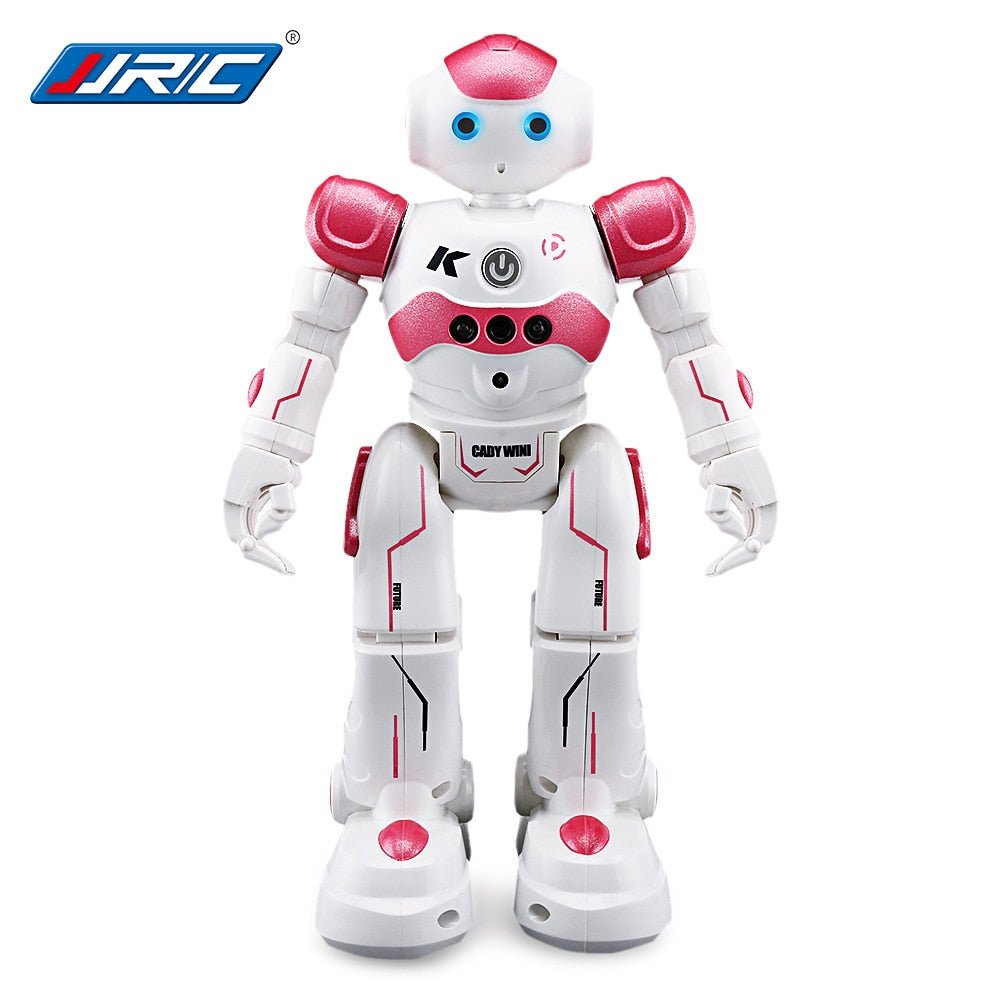 Intelligenter Roboter, intelligentes Spielzeug