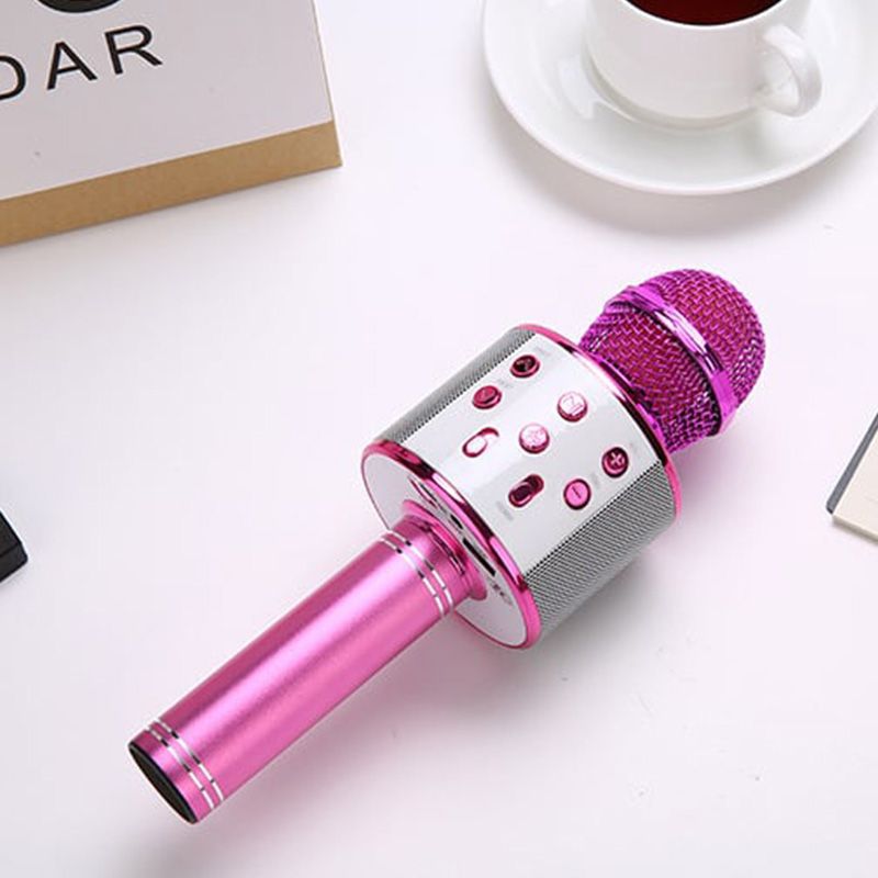 Kabelloses Karaoke-Mikrofon mit Bluetooth | Karnz