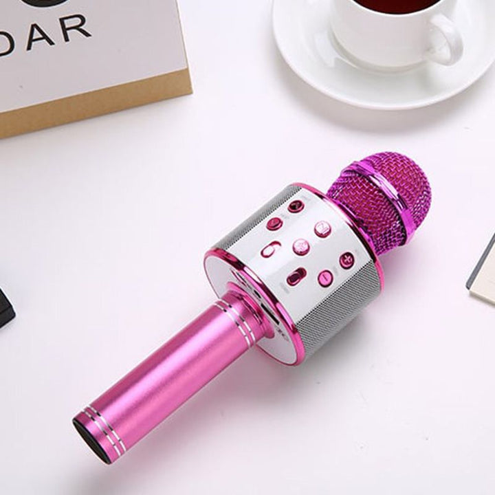 Kabelloses Karaoke-Mikrofon mit Bluetooth | Karnz