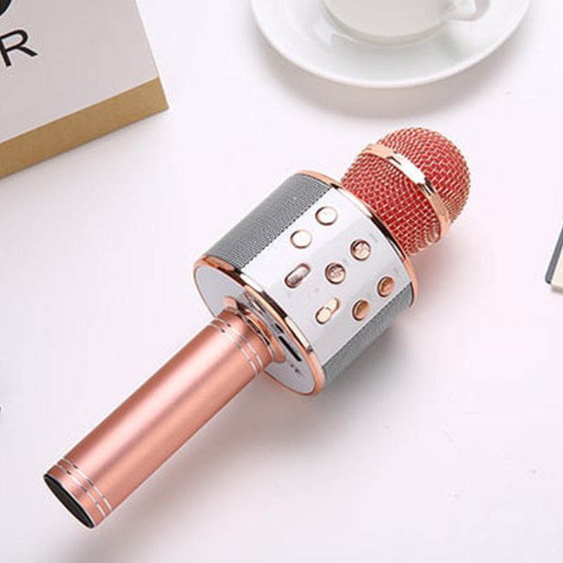 Sing Anywhere: Das ultimative kabellose Karaoke-Mikrofon!