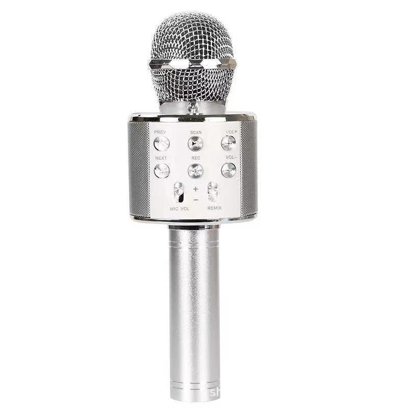 Kabelloses Karaoke-Mikrofon mit Bluetooth | Karnz
