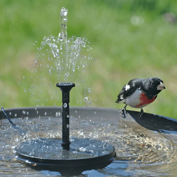 SolarSprudelX — Mach deinen Garten zur atemberaubenden Natur-Oase voller Leben und Magie! | Karnz