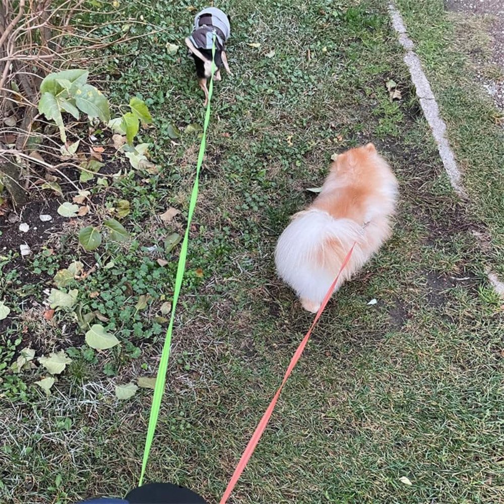 TangleFree • Doppelleine für Hunde