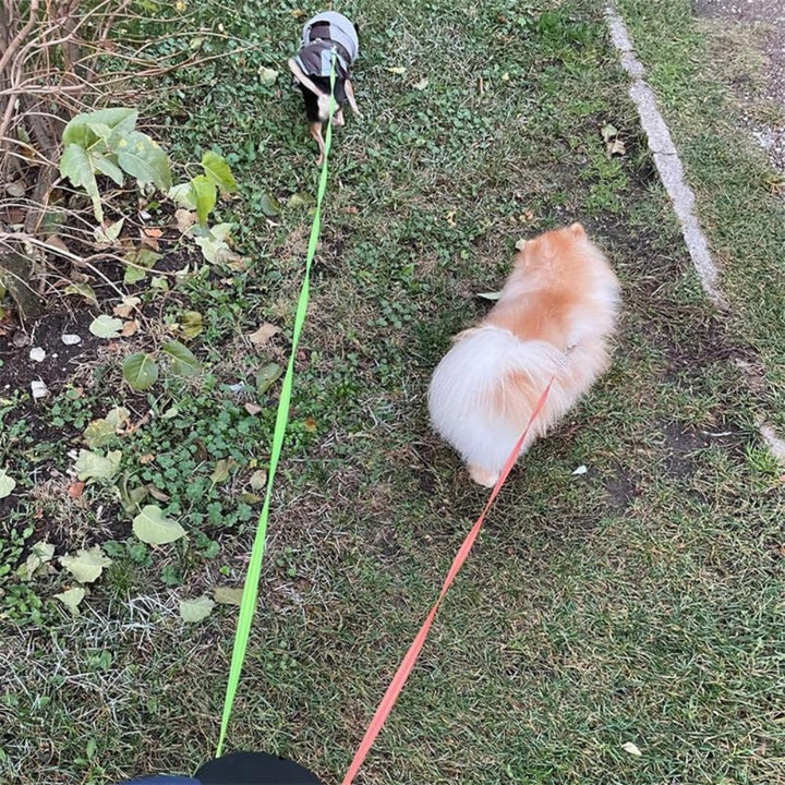 TangleFree • Doppelleine für Hunde