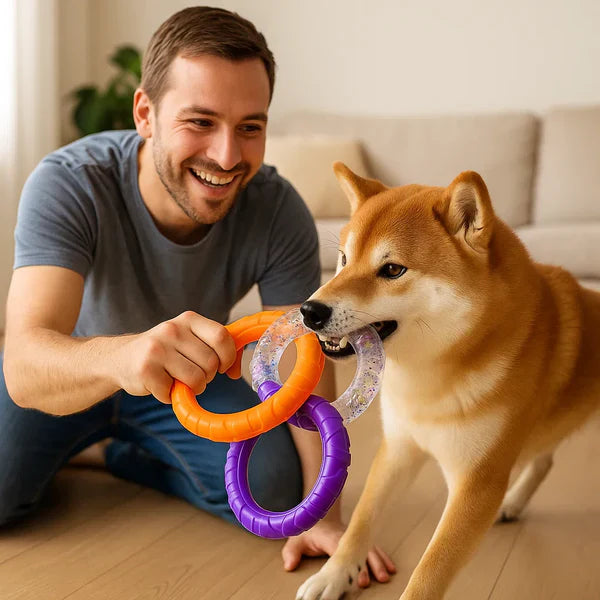 3-Ring-Kauspielzeug für Hunde robust und zahnfreundlich Karnz